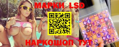 стаф Донской