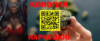 стаф Донской