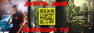 стаф Донской