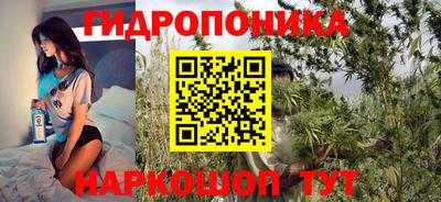 стаф Донской