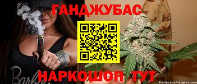 стаф Донской