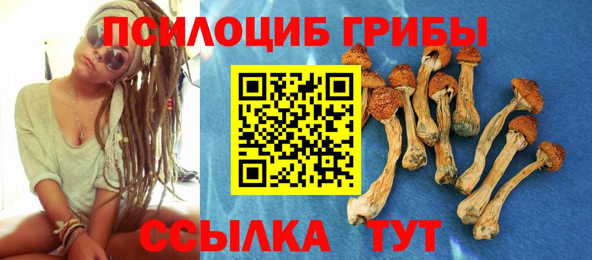 Псилоцибиновые грибы мухоморы  наркота  Темрюк  Вход с VPN 